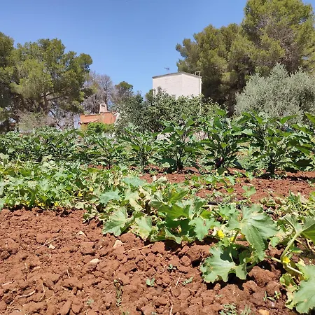 Apartamento Casedda Andrea Sternatia