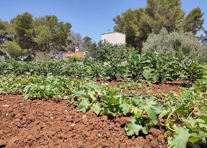 Apartamento Casedda Andrea Sternatia